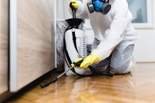 Best Best Pest Control Companies  in Leonardo, NJ