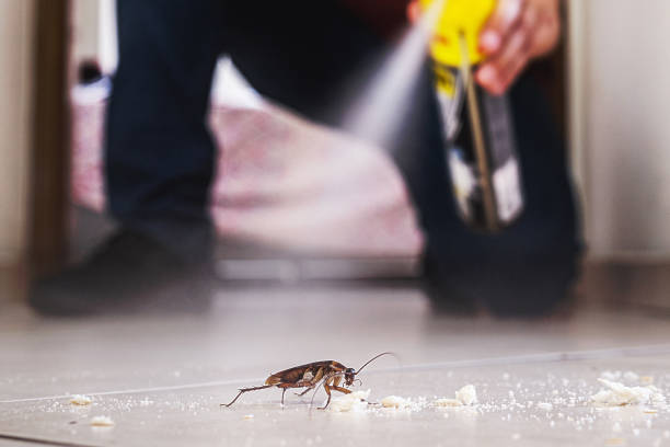 Best Affordable Pest Control Services  in Leonardo, NJ